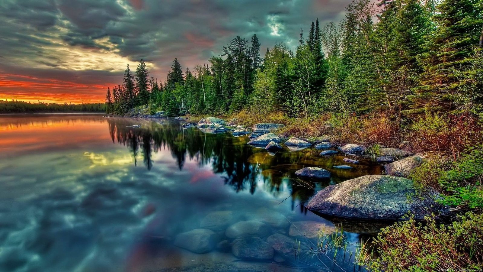 صورة توضيحية - Test Images