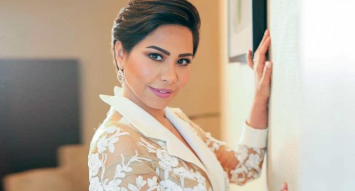 صورة توضيحية - زواج شيرين عبد الوهاب بعد طلاقها من حسام حبيب.. هل يتحقق هذا الأمر؟