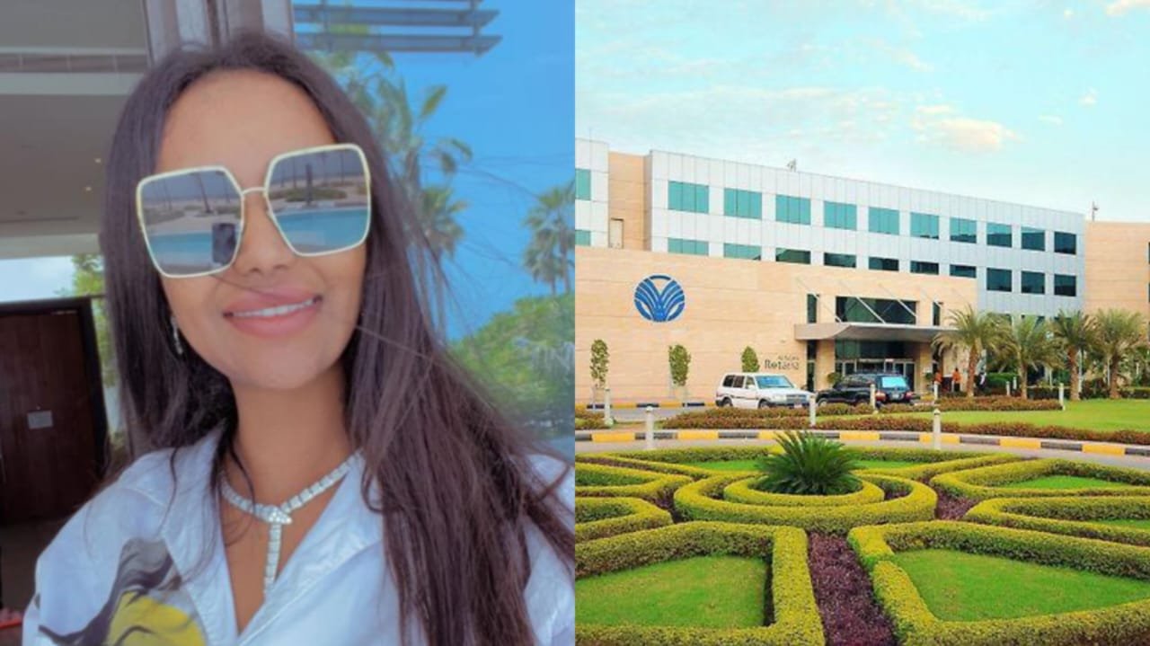 صورة توضيحية - سيدة الأعمال Asia Ibrahim تشتري أكبر واشهر فنادق السودان فندق السلام روتانا الخرطوم